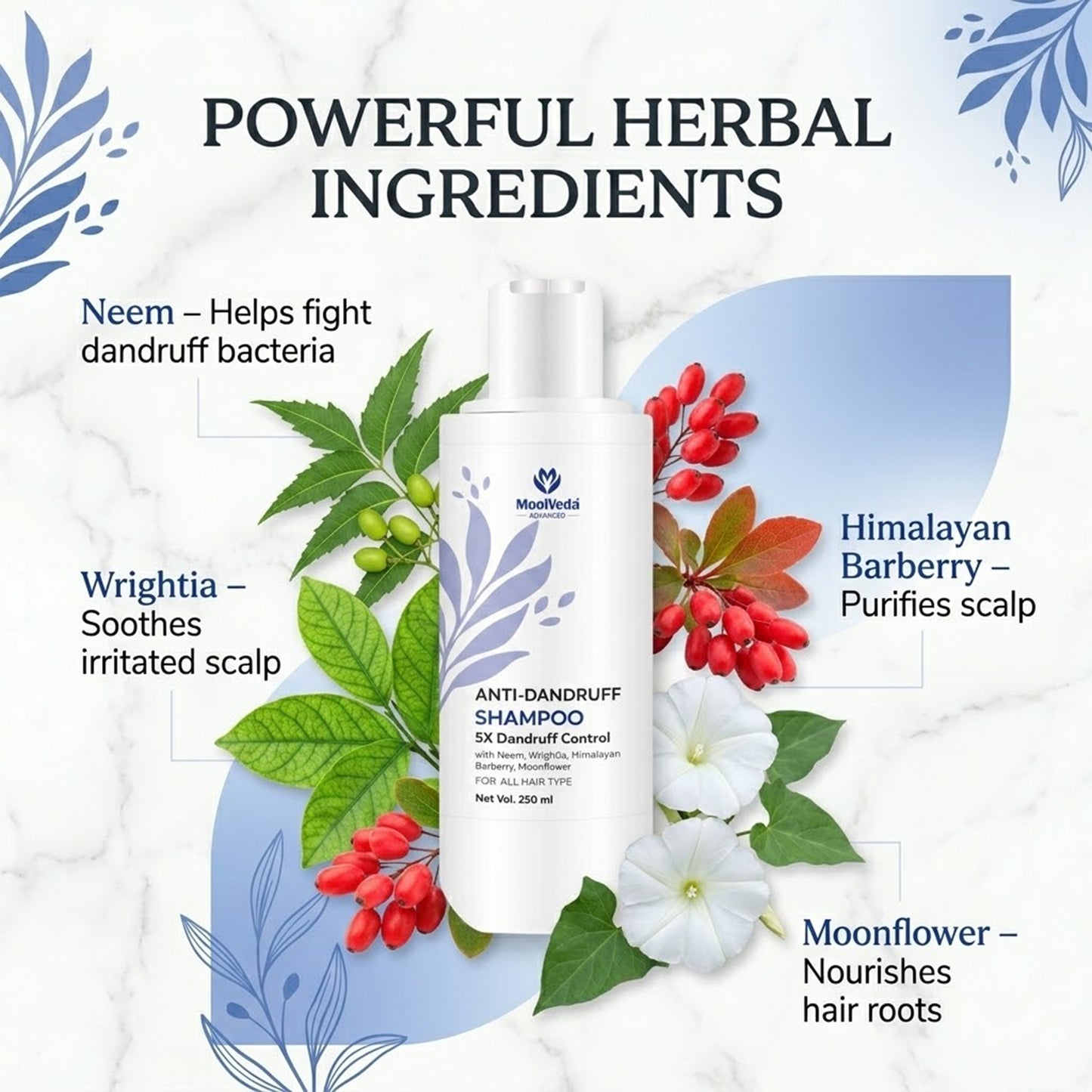 Moolveda Anti Dandruff Shampoo 250ml