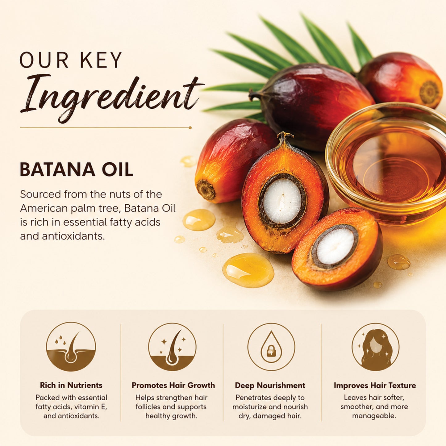 Moolveda Pure Batana Hair Oil -100ml
