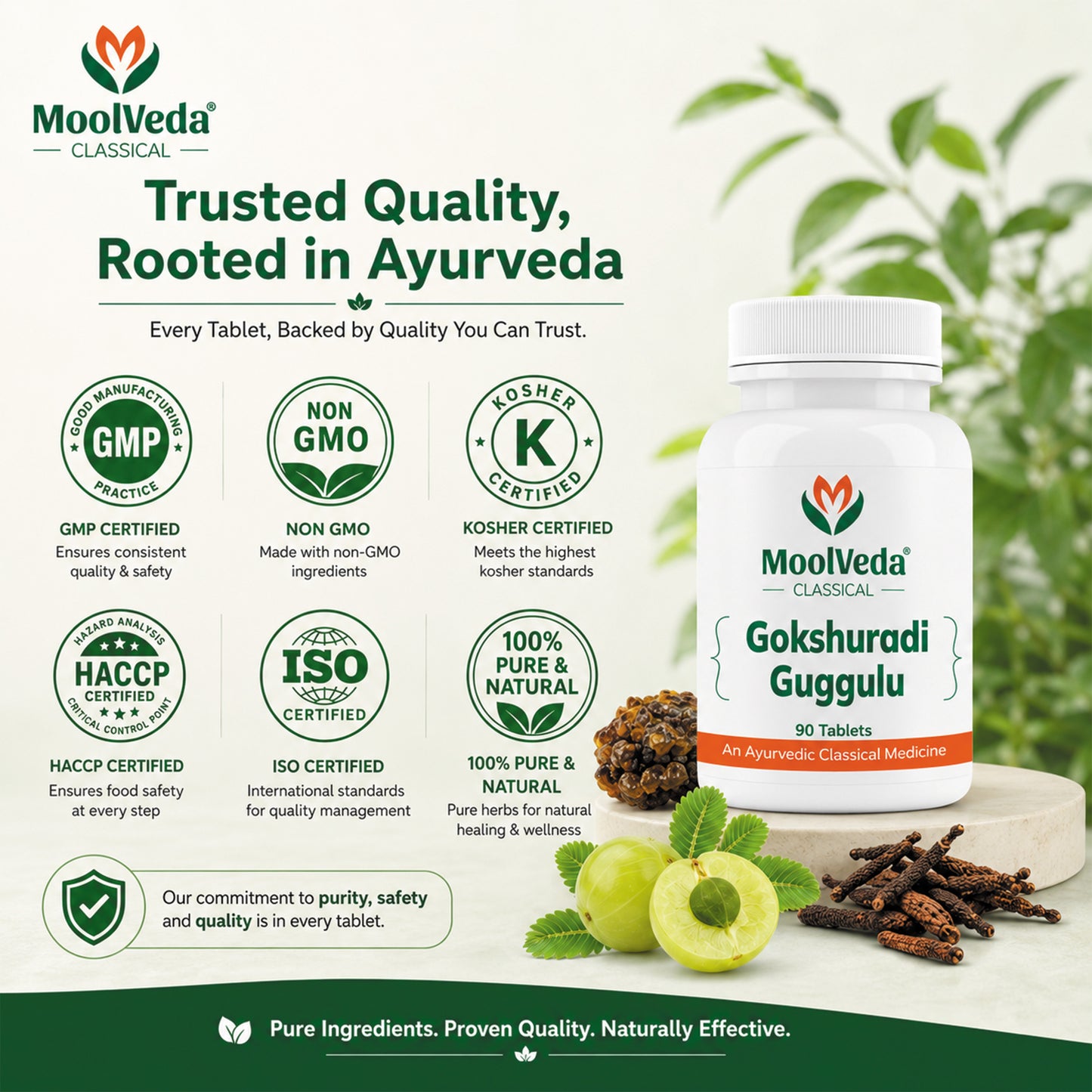 Moolveda Gokshuradi Guggulu - 90 Tablets