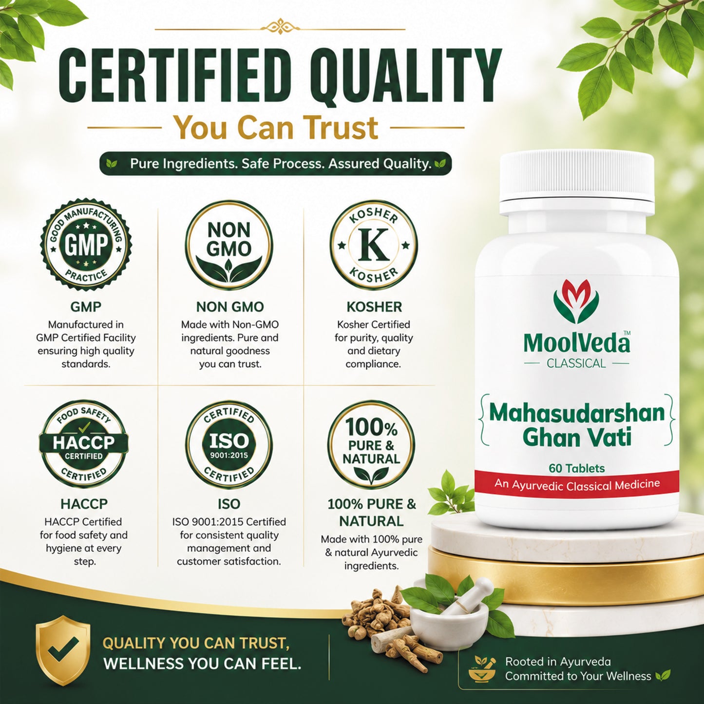 Moolveda Mahasudarshan Ghan Vati 60 Tablet