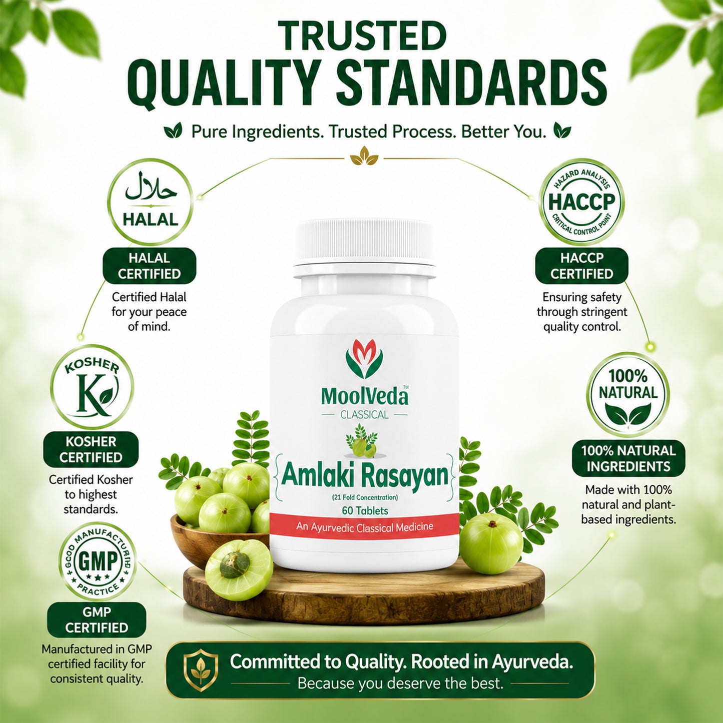 Moolveda Amalaki Rasayan 60 Tablets