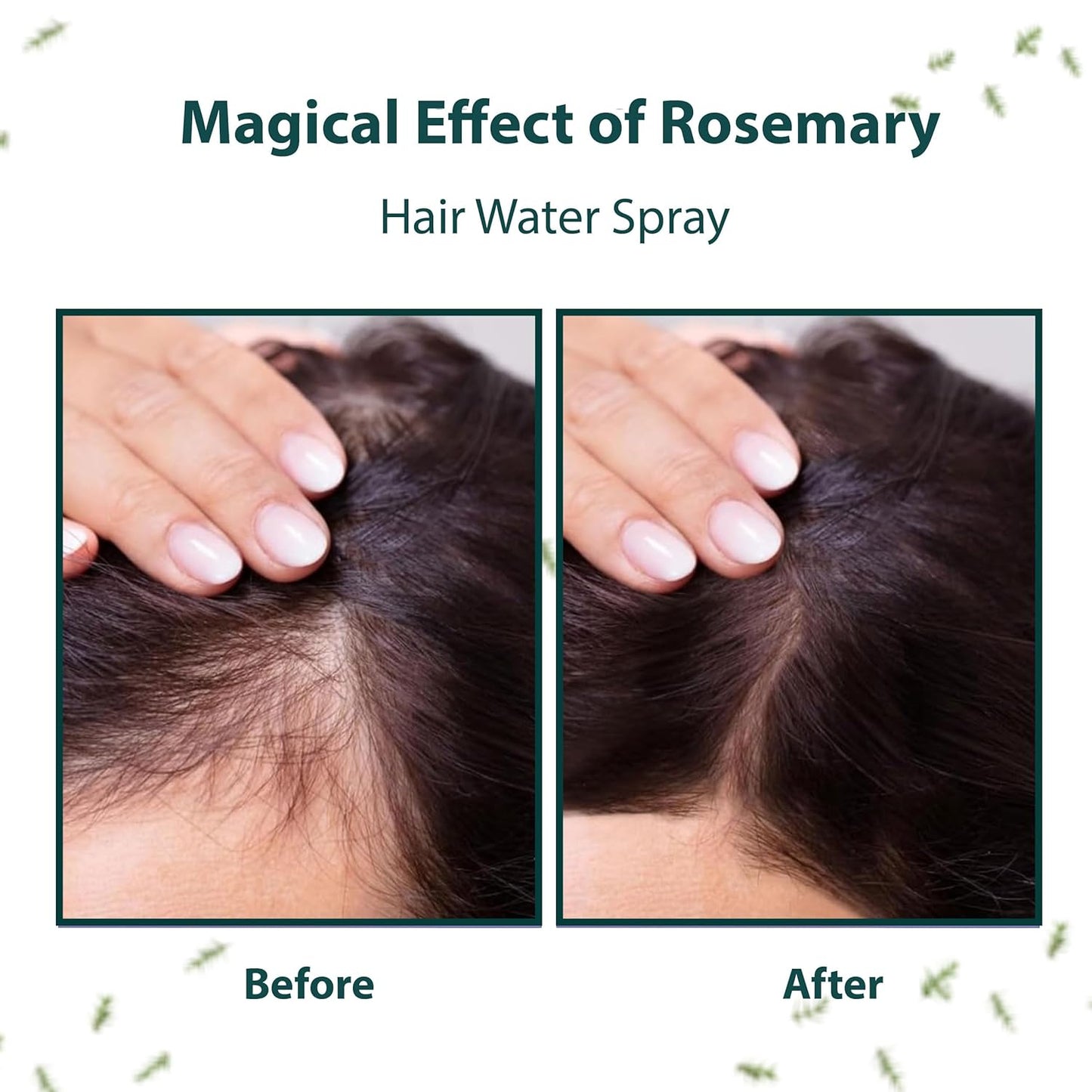 Moolveda 100% Pure & Natural Rosemary Water Spray-200ml